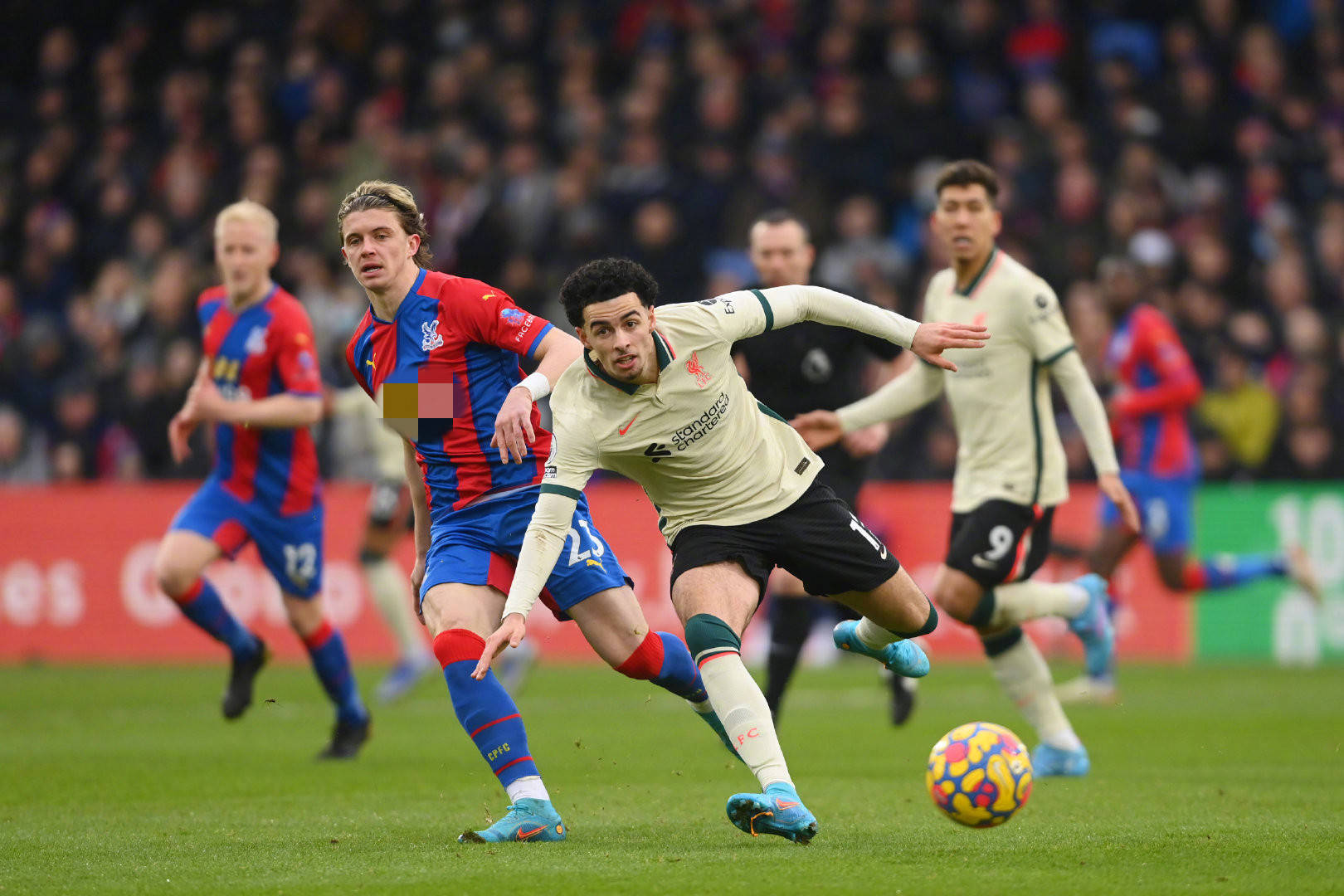 可忽视的战 可忽视的战